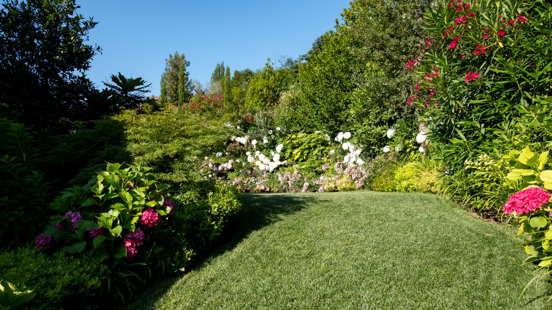 Realizzazione giardini